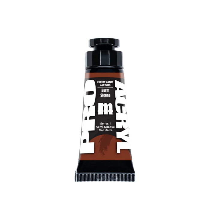 Pro Acryl: Expert Acrylics - Burnt Sienna