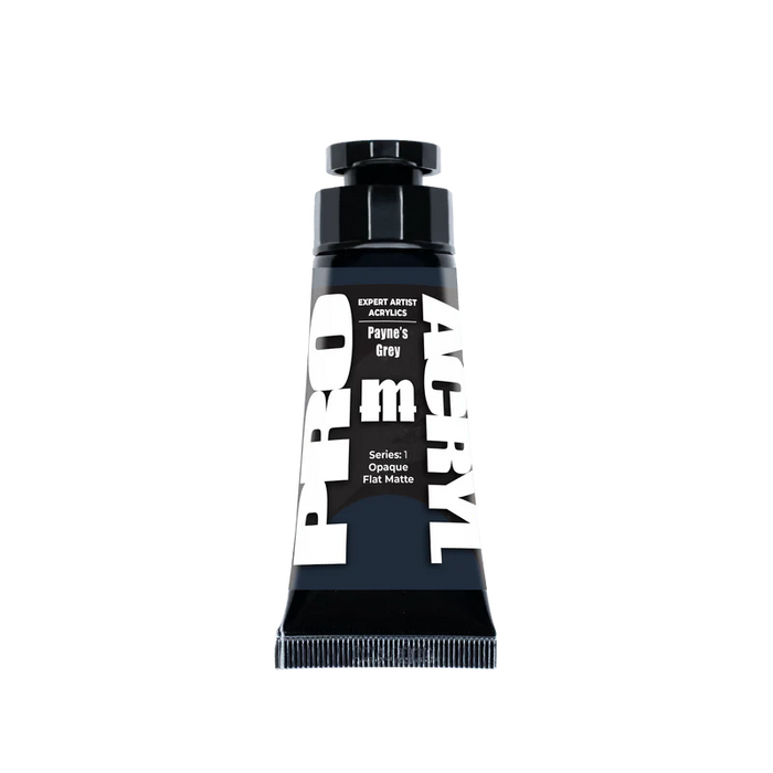 Pro Acryl: Expert Acrylics - Payne`s Grey