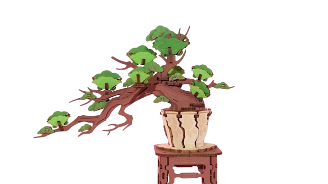 Rolife - Evergreen Pine Bonsai