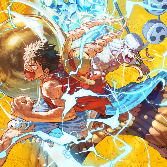 One Piece Pirates Party