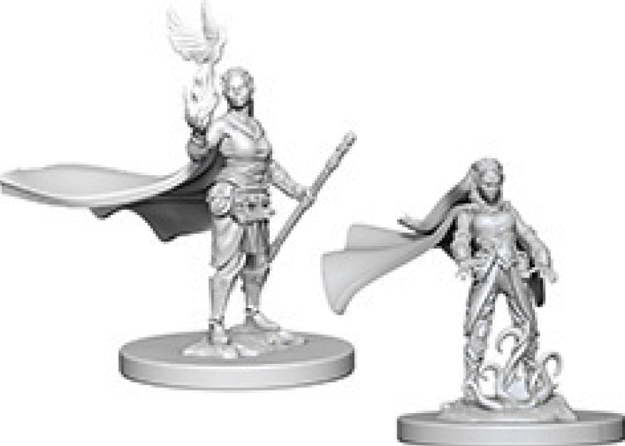 Dungeons and Dragons Nolzur`s Marvelous Unpainted Miniatures: W4 Elf Female Druid