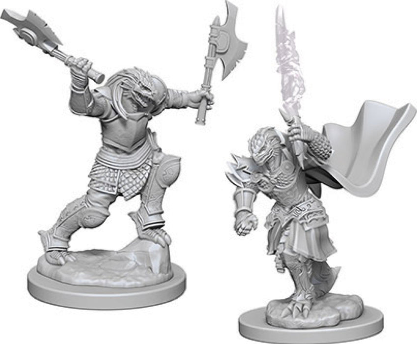 Dungeons and Dragons Nolzur`s Marvelous Unpainted Miniatures: W4 Dragonborn Female Fighter