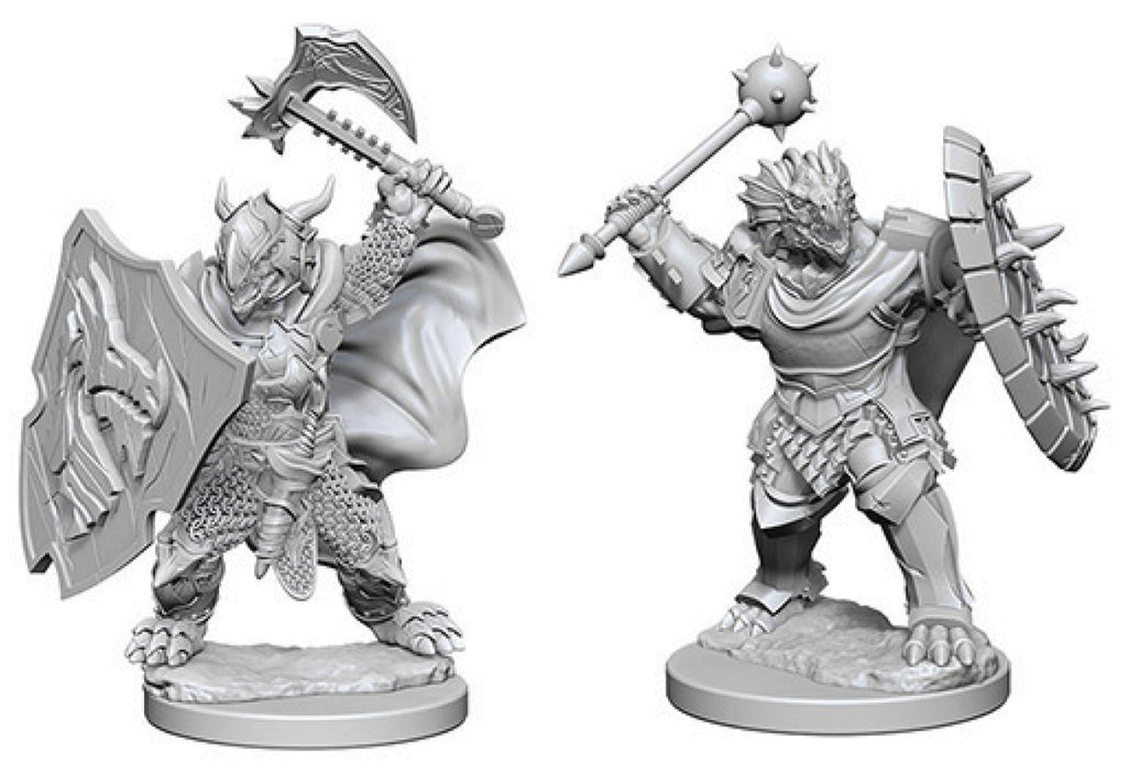 Dungeons and Dragons Nolzur`s Marvelous Unpainted Miniatures: W4 Dragonborn Male Paladin