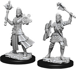 Dungeons and Dragons Nolzur`s Marvelous Unpainted Miniatures: W8 Female Human Cleric