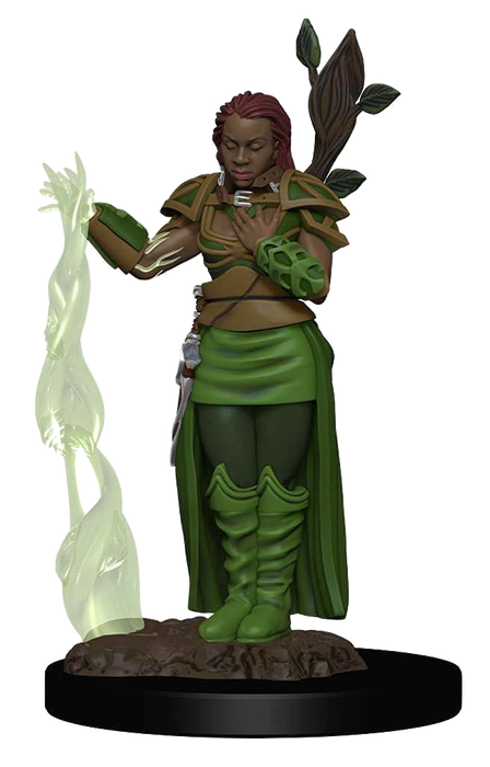 Dungeons & Dragons Icons of the Realms Premium Figures: W2 Human Female Druid