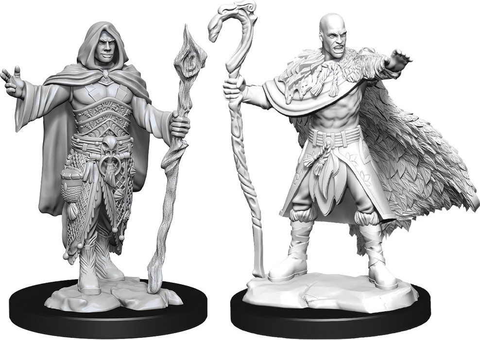 Dungeons and Dragons Nolzur`s Marvelous Unpainted Miniatures: W14 Human Druid Male