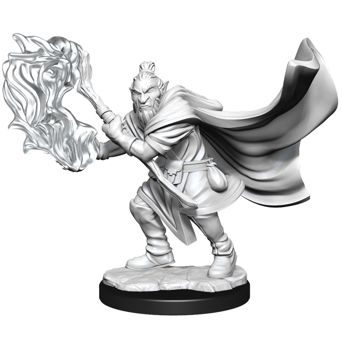 Critical Role Unpainted Miniatures: W1 Hobgoblin Wizard and Druid Male