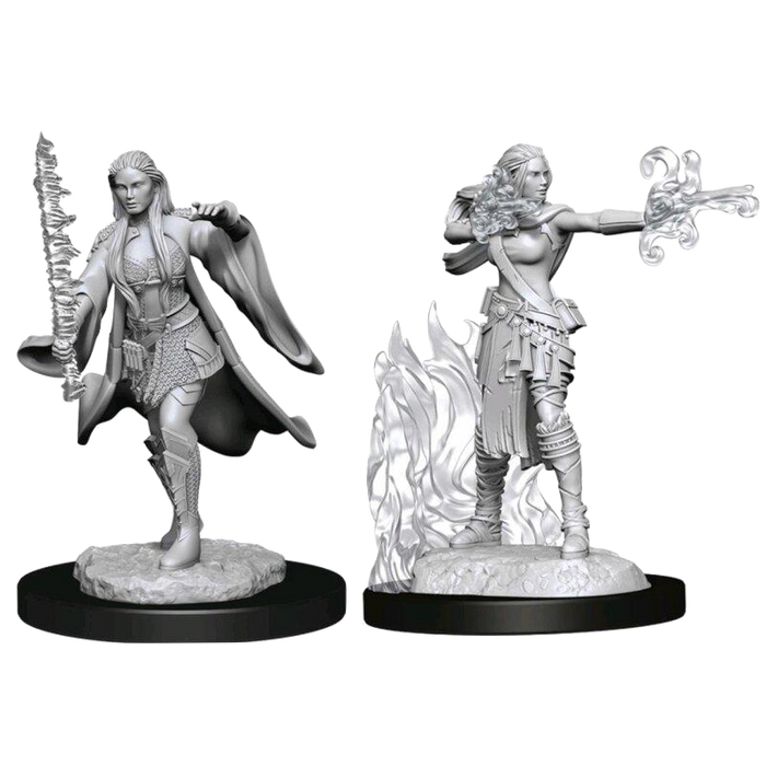 Dungeons & Dragons: Nolzurs Marvelous Unpainted Miniatures - Multiclass Warlock + Sorcerer