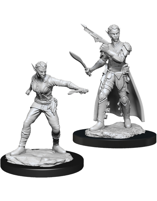 Dungeons & Dragons: Nolzurs Marvelous Unpainted Miniatures - Shifter Rogue Female